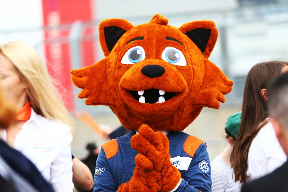 Rooky is thinking of you