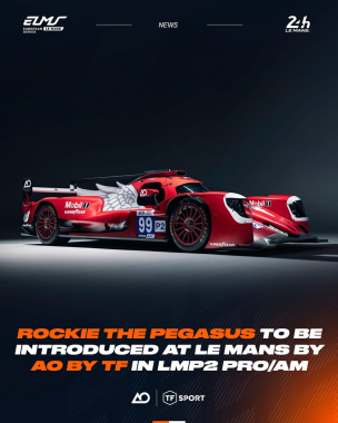 Meet Rockie the Pegasus - the newest @aoracingusa by @tf_sport character ready to race. 🪽 A new masc