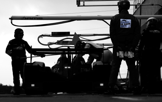 Magnifique croissance en ELMS pour 2014